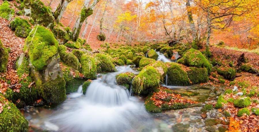 فيلا La Casina Del Rio Argovejo المظهر الخارجي الصورة